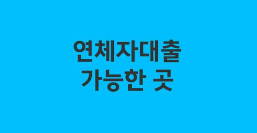 연체자대출 대출금 이용 예시