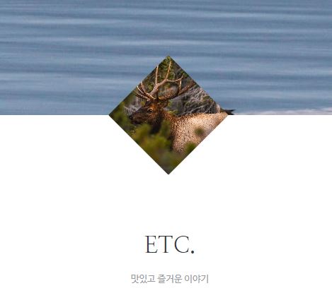 태상의 미니샵 바로가기로 확인하는 일상형 콘텐츠의 특징